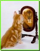 Kitten looking in mirror sees lion