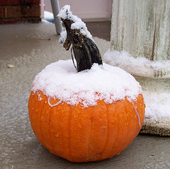 Snow covered pumpkin.
