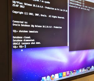 Onlookers could watch as the Blackboard application and database was shut down.