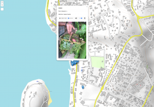 Screenshot of a map of Vanuatu with a pop up window showing an image from the island