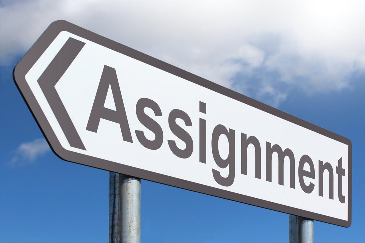 search for assignment