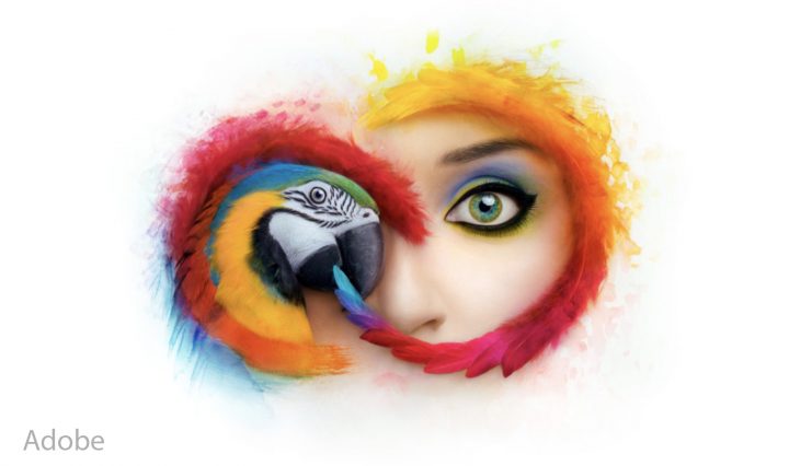 CC 2019 logo