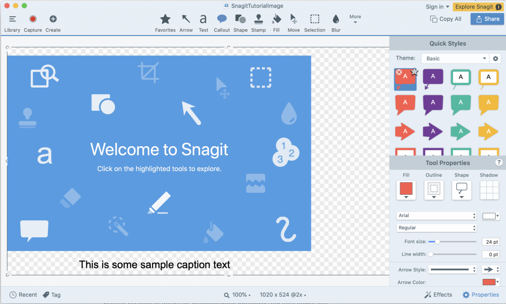 Create an Animated GIF, Snagit