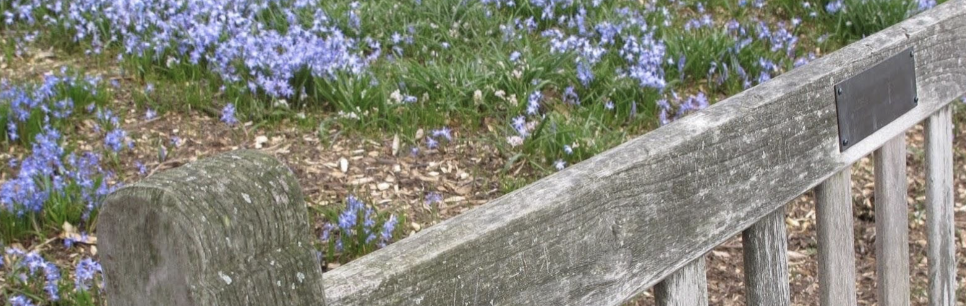 bench and flowers