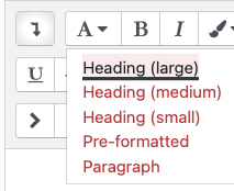 The second button in the text editor is selected to show the style options.
