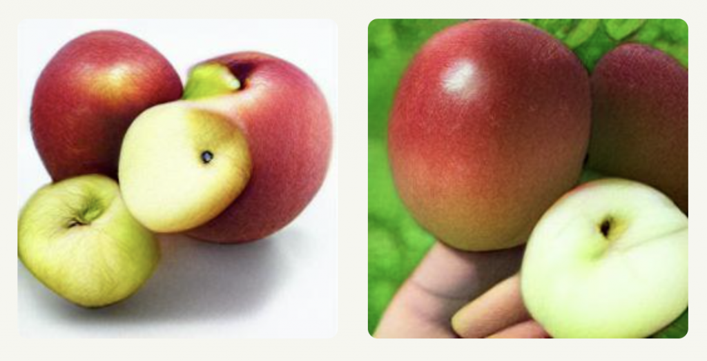 Honeycrisp Apple, Knowledgebase