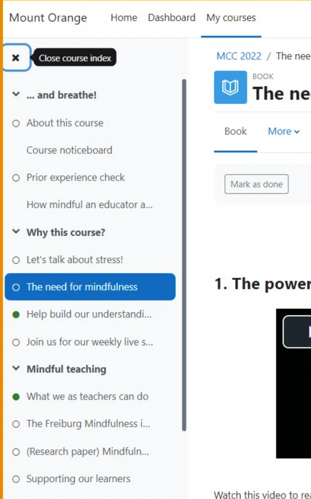 Screenshot of Moodle 4.0 course index