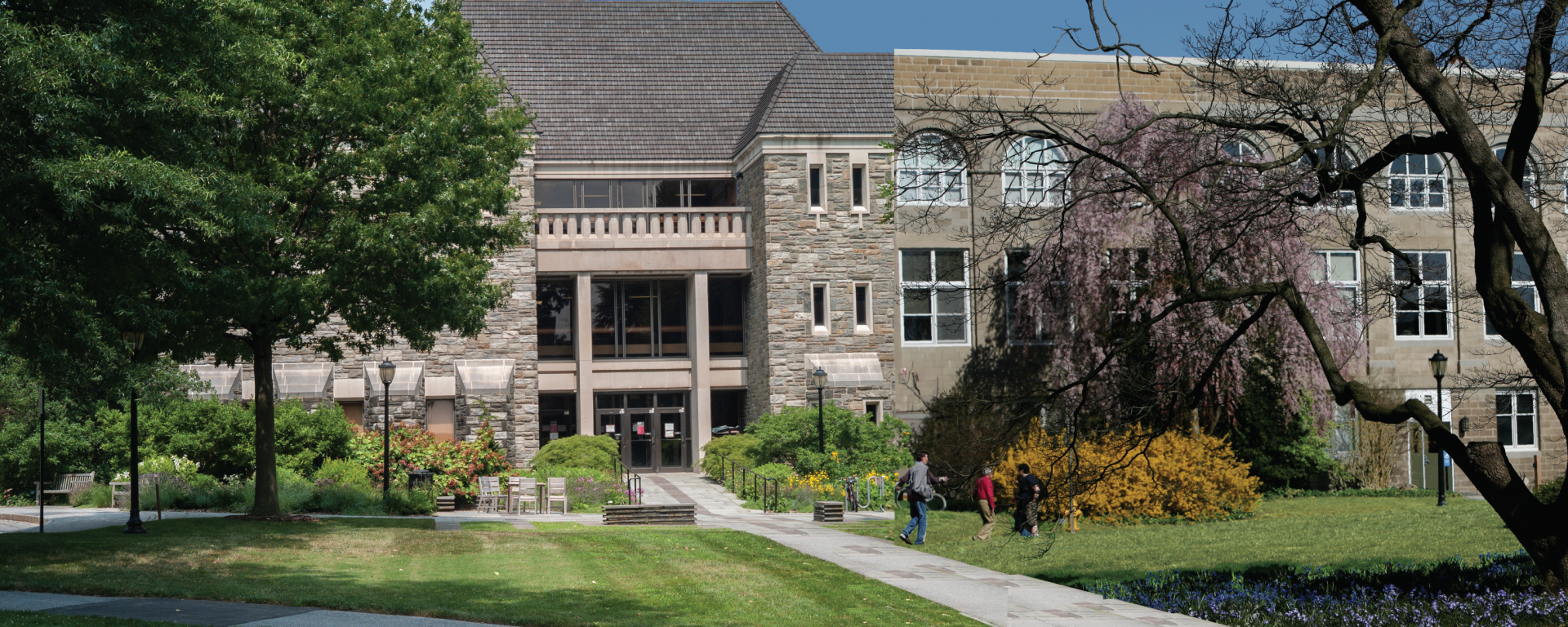 A combination of Beardsley and McCabe Library