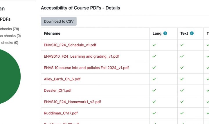 Accessibility File Scan - showing all accessibility criteria being passed