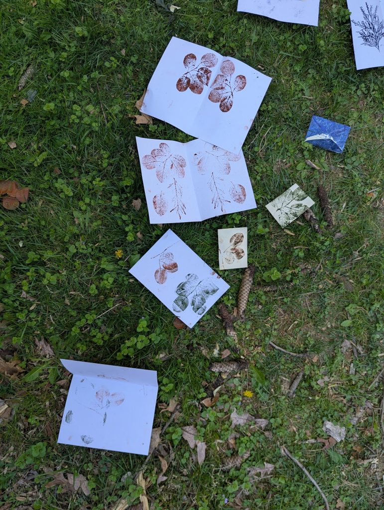 a scattering of colorful, finshed nature prints drying in the grass, from directly above
