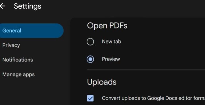 Google drive settings page scrolled down to the Uploads section.